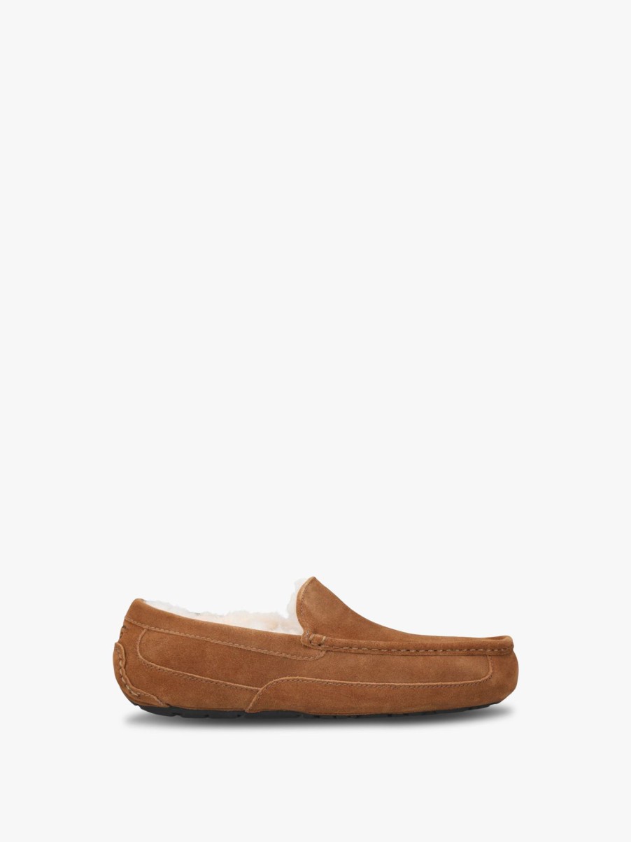 Men UGG Slippers | Men S Ascot Brown