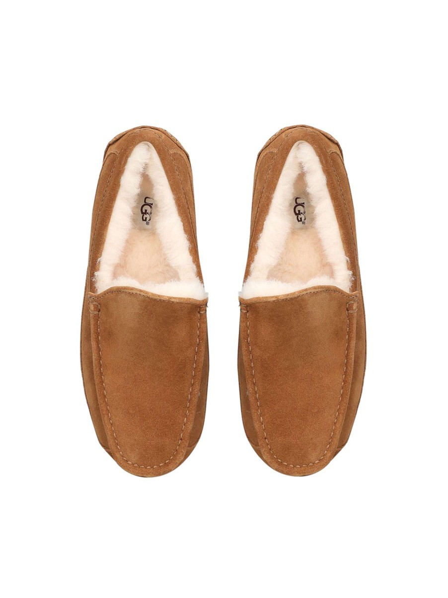 Men UGG Slippers | Men S Ascot Brown