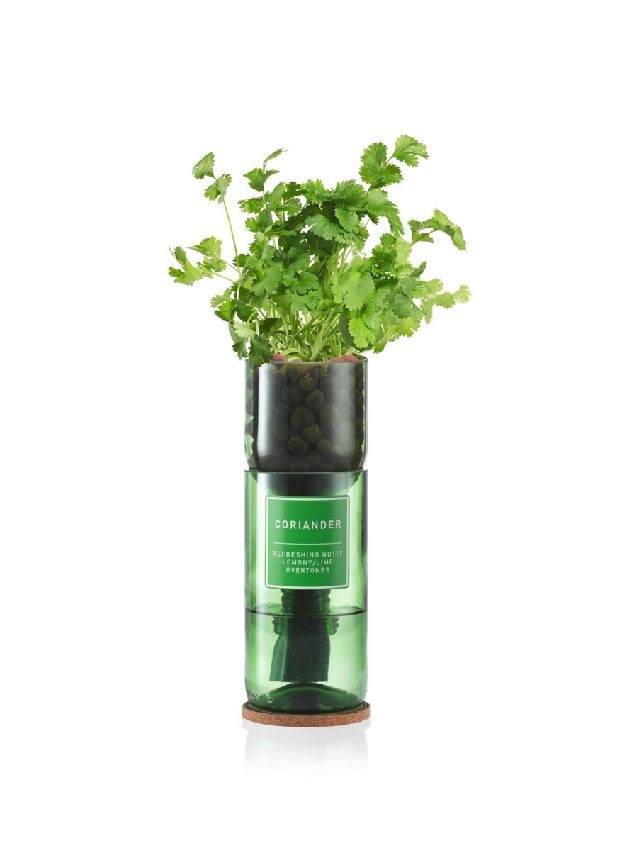 Furniture & Outdoor Hydro Herb Garden Tools | Coriander Hydro Herb Kit