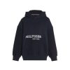 Kids Tommy Hilfiger Sweatshirts & Knitwear | Hilfiger Logo Hoodie Desert Sky