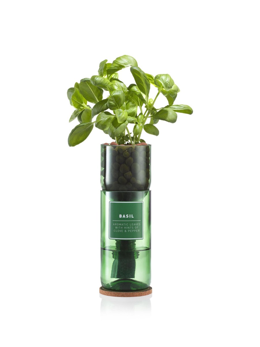 Furniture & Outdoor Hydro Herb Garden Tools | Basil Hydro Herb Kit