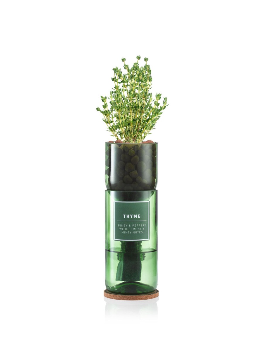 Furniture & Outdoor Hydro Herb Garden Tools | Thyme Hydro Herb Kit