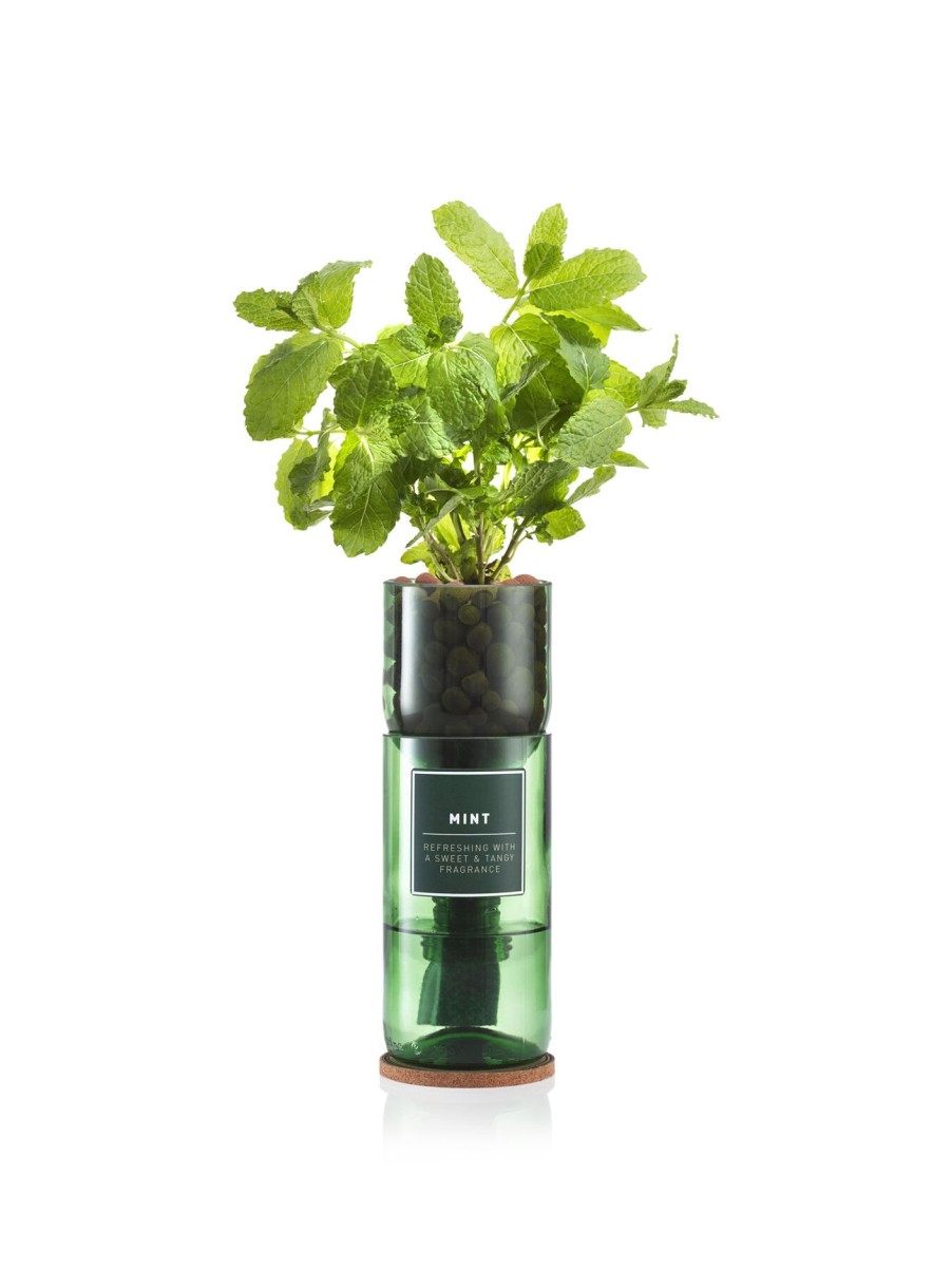 Furniture & Outdoor Hydro Herb Garden Tools | Mint Hydro Herb Kit